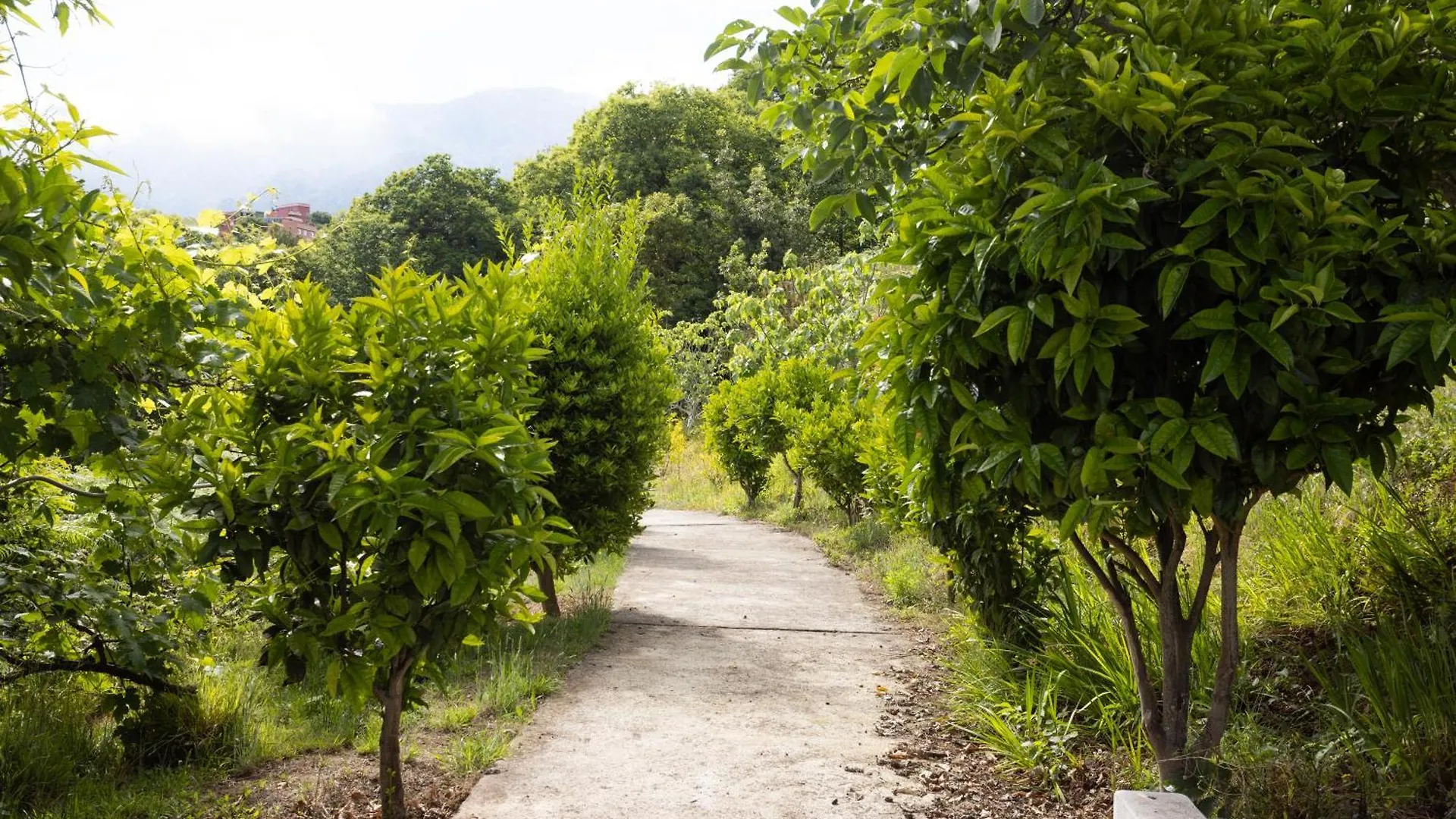 Home2Book Finca La Golosa 3 Cozy Studio, Terrace لا أوروتافا